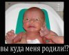 вы куда меня родили.jpg
